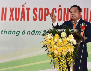 Sản xuất kali sunfat là sự khởi đầu cho kỷ nguyên mới của Supe Lâm Thao