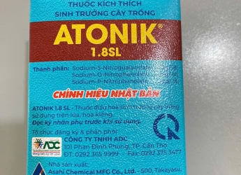 Thuốc kích thích rễ, chồi