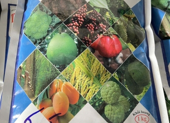 Thuốc trừ nấm bệnh Cẩm Mỹ