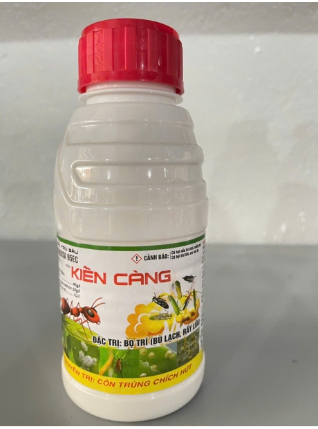 Kiến càng - trị bọ trĩ, cồn trùng chích hút