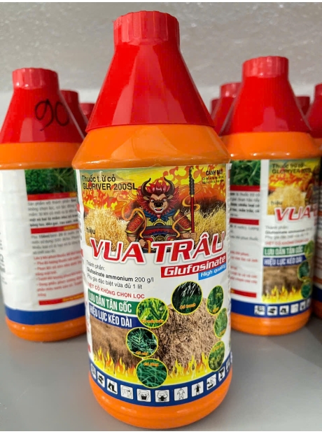 Vua trâu - diệt cỏ tận gốc kéo dài